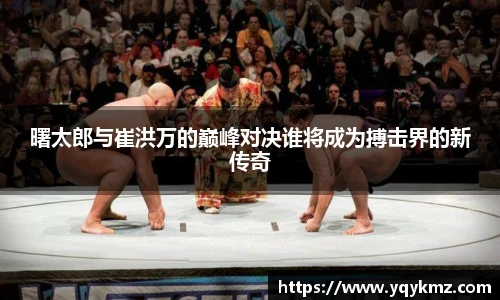 美嘉体育平台