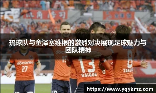美嘉体育