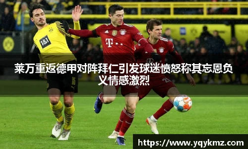 美嘉体育平台