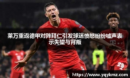 美嘉体育官网