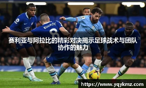 美嘉体育官网