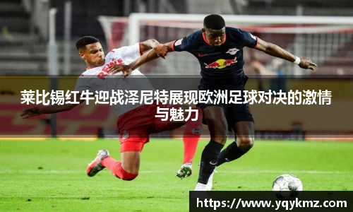 美嘉体育官网