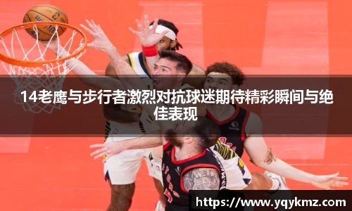 美嘉体育官网